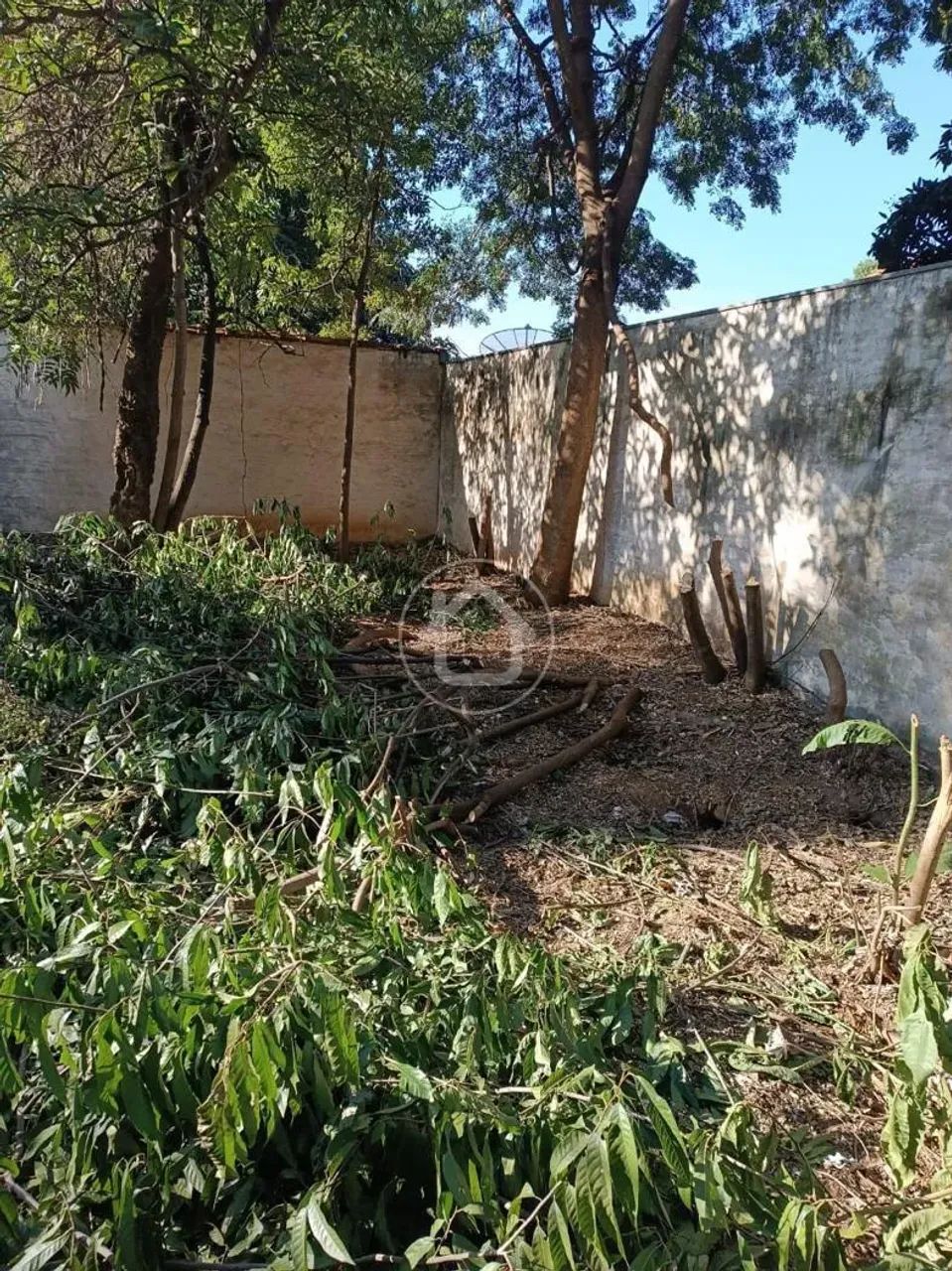 TERRENO COMERCIAL - Foto 5