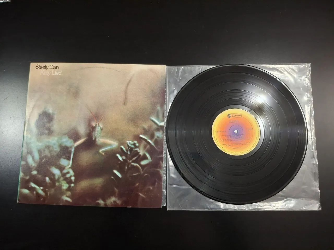 LP Steely Dan Katie Lied muito bom