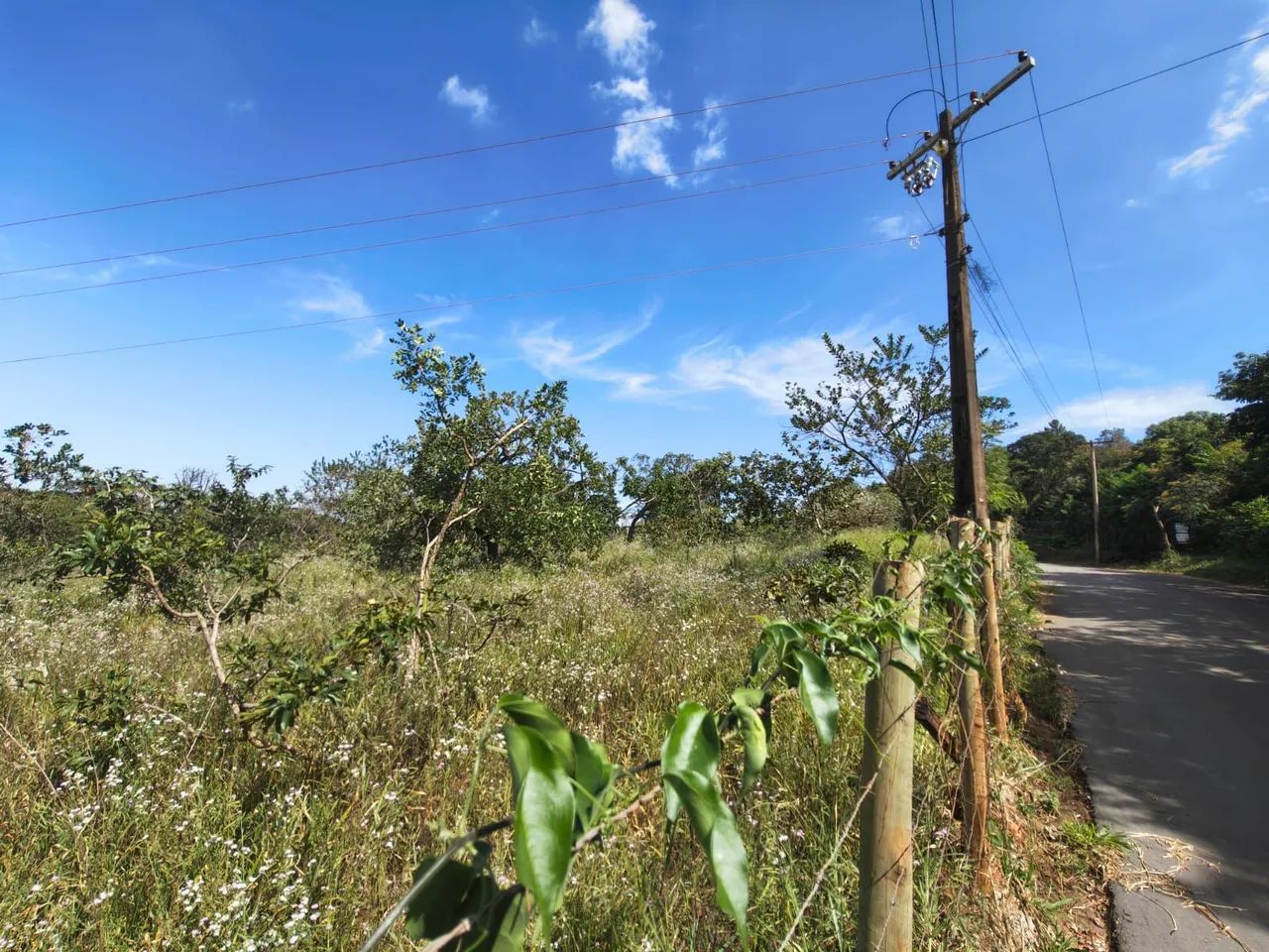   OPORTUNIDADE EM CASA BRANCA  - Foto 3