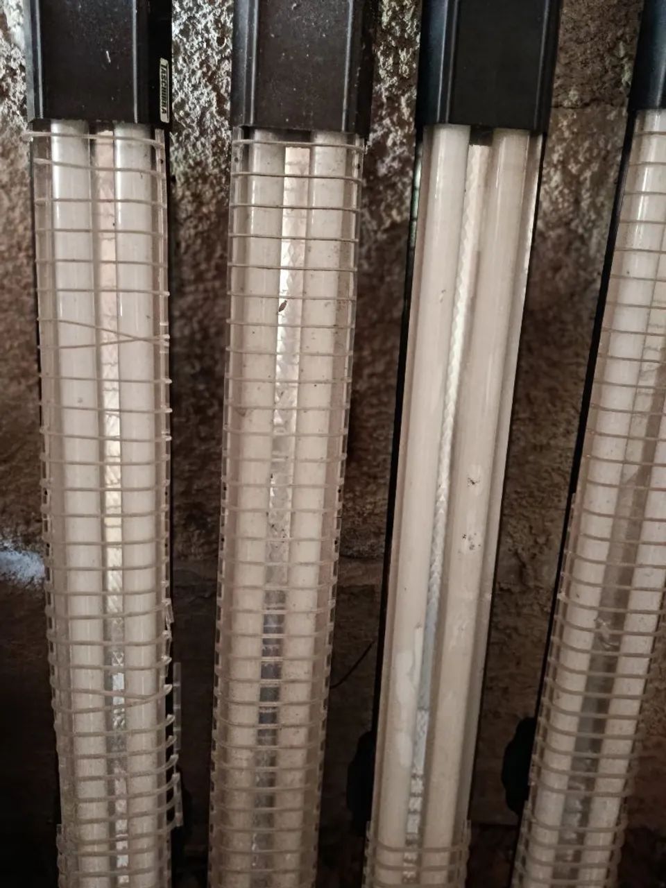 Luz 