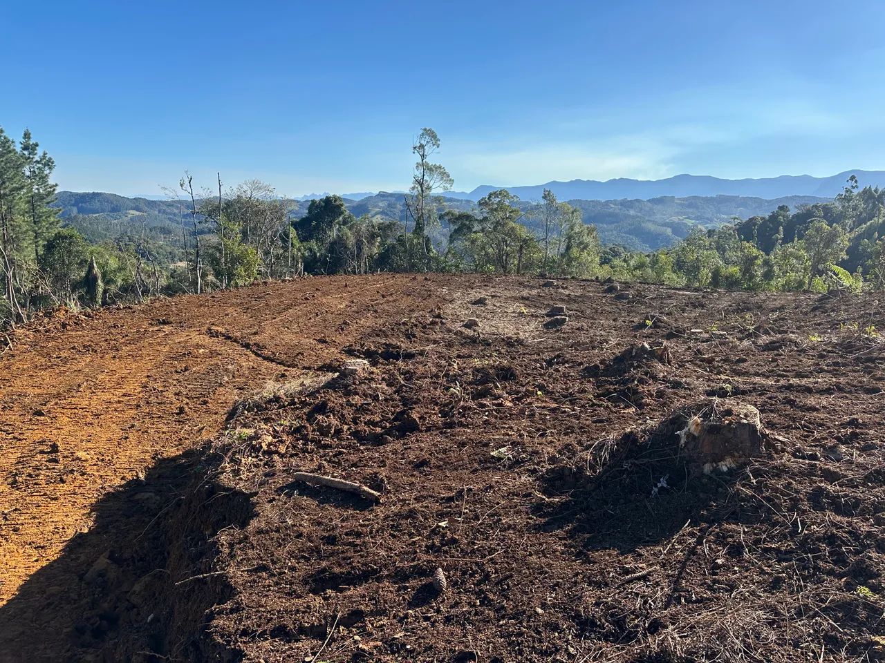 Vendo sítio em Anitapolis  - Foto 2