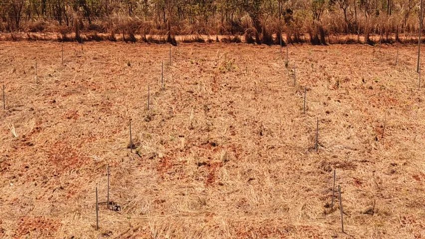 SÍTIO À VENDA - 4,5 HECTARES  - Foto 3