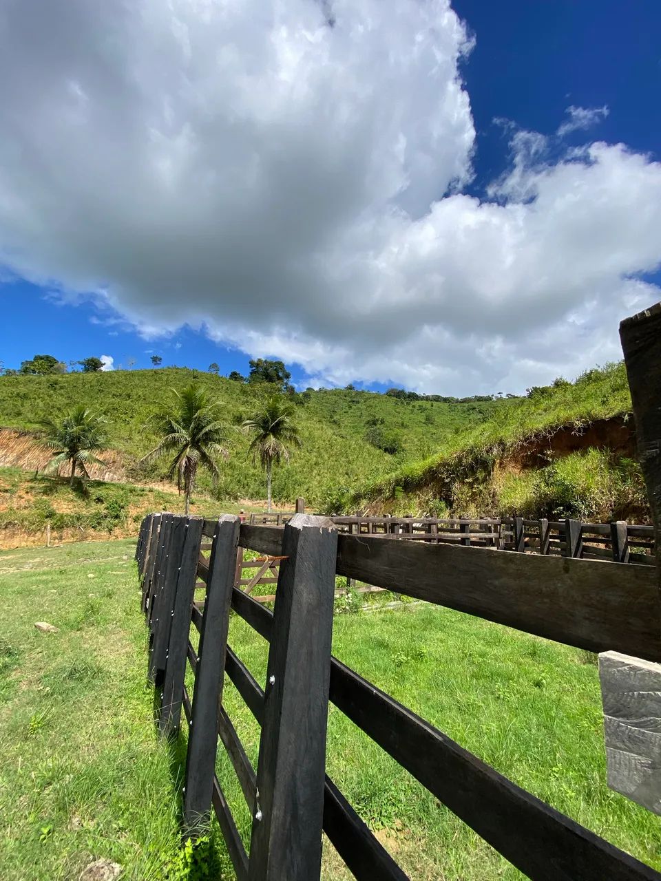 Sítio com 17,5 hectares União Dos Palmares  - Foto 3