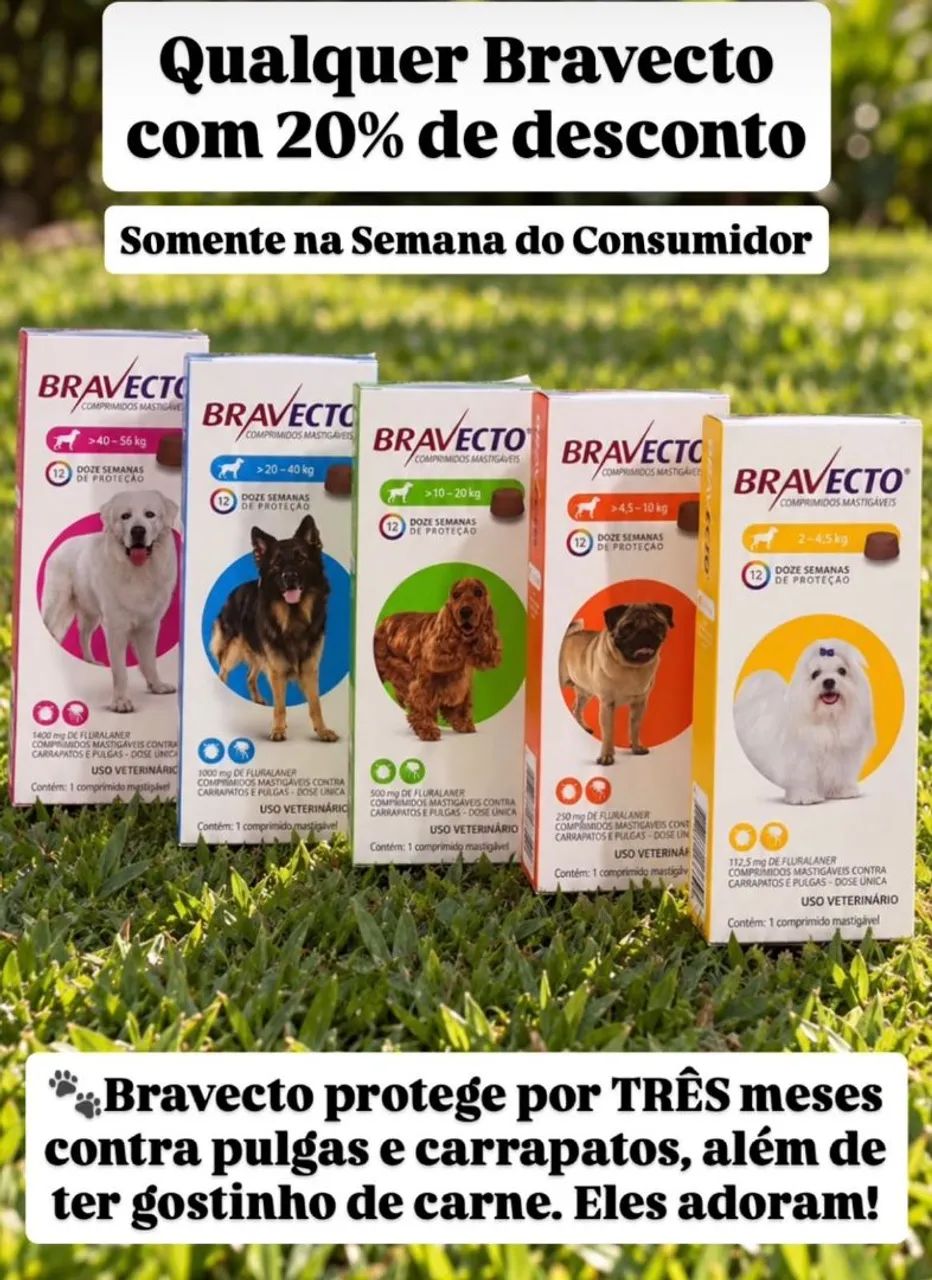 Medicação pet