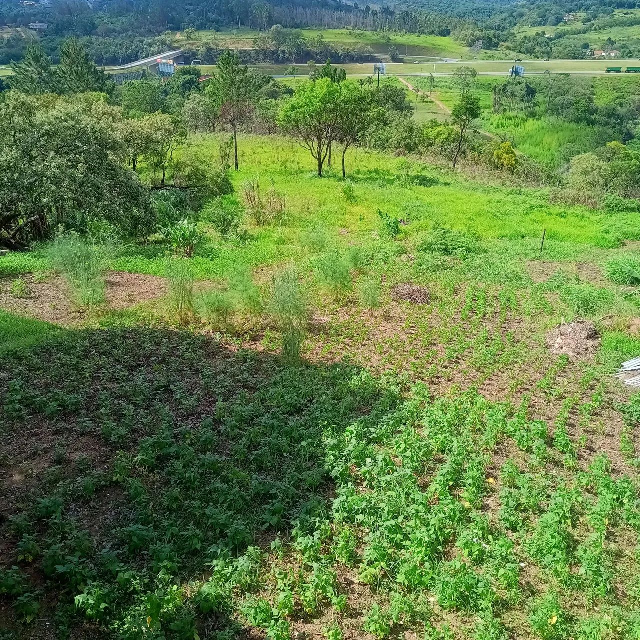 Foto - Itu - Apotribu de Cima