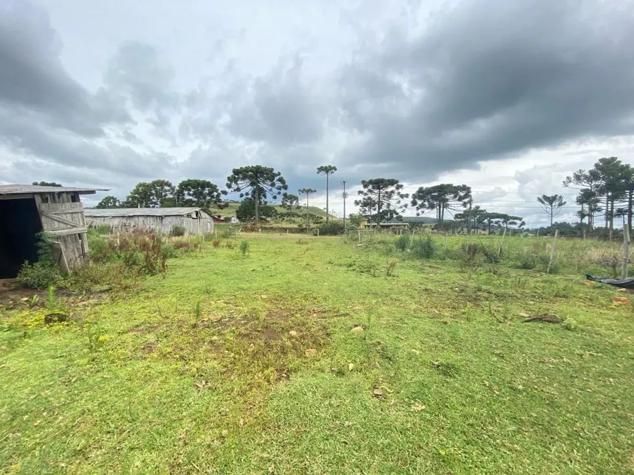 LOTE À VENDA - Foto 3
