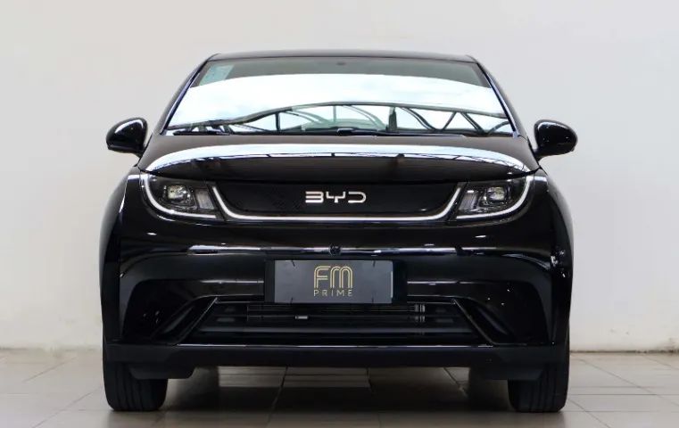 BYD Dolphin GS (Elétrico) 2027 - Foto 2