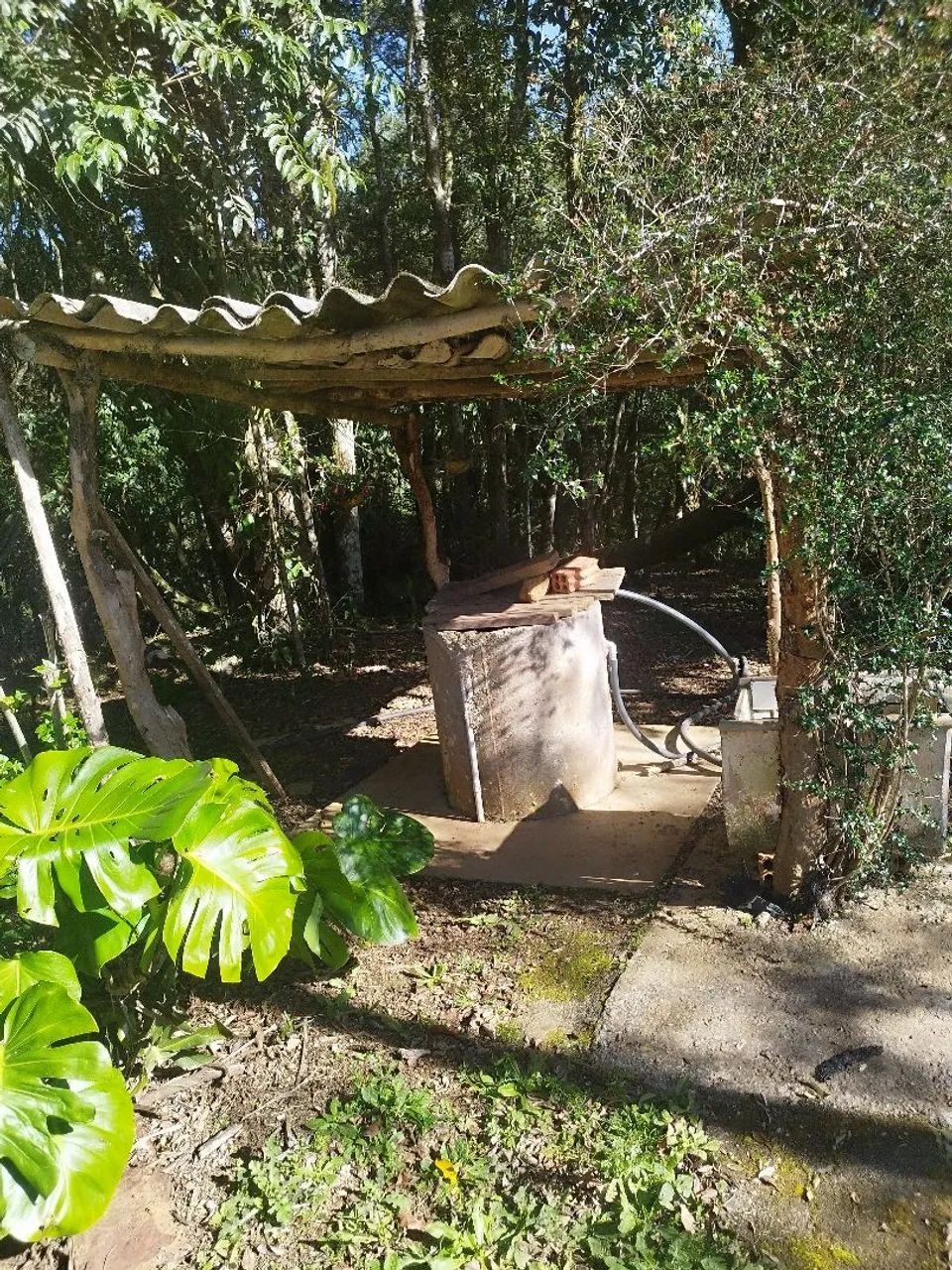 Vendo chácara  - Foto 3