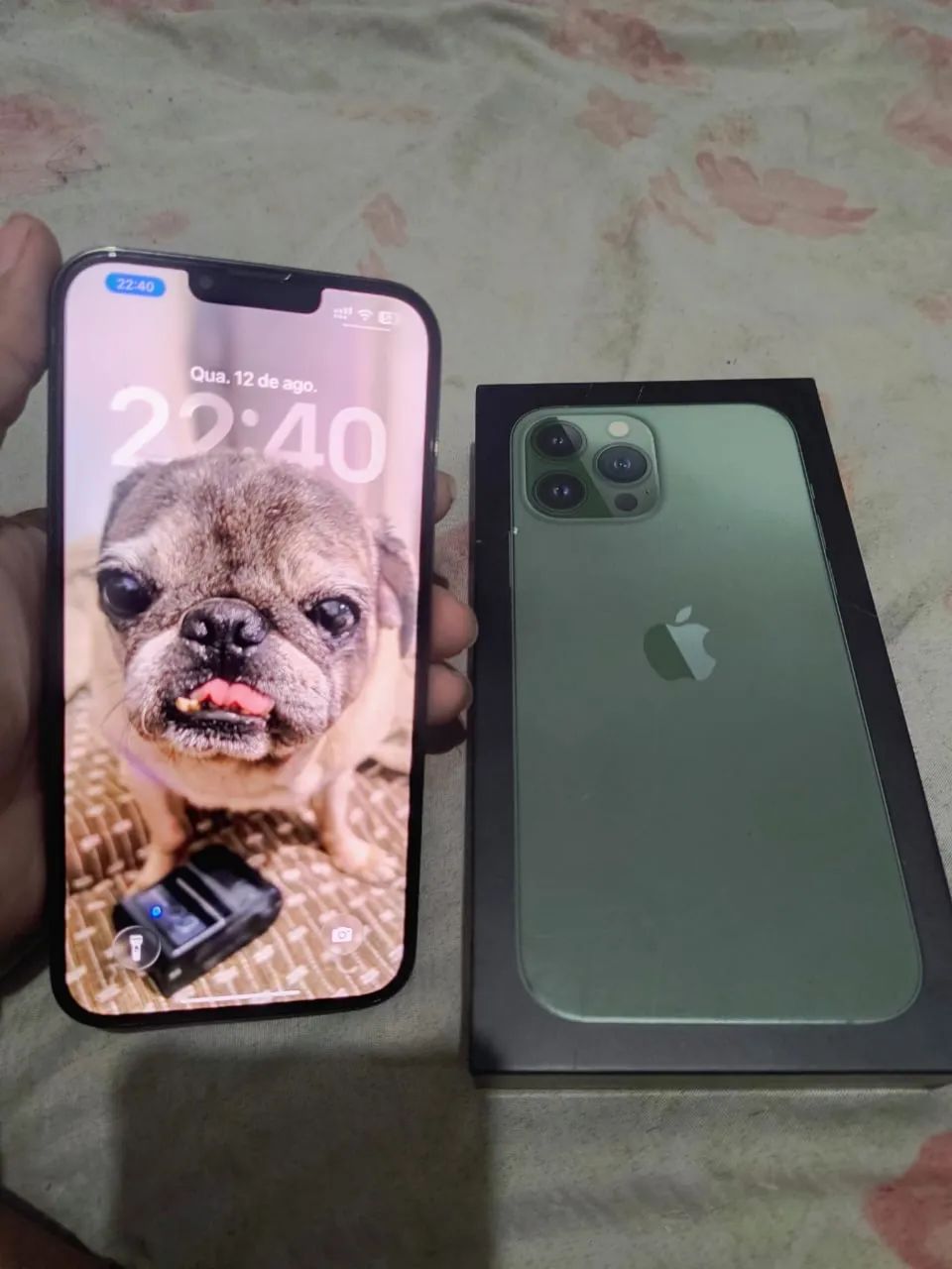 iPhone 13 Pro Max 