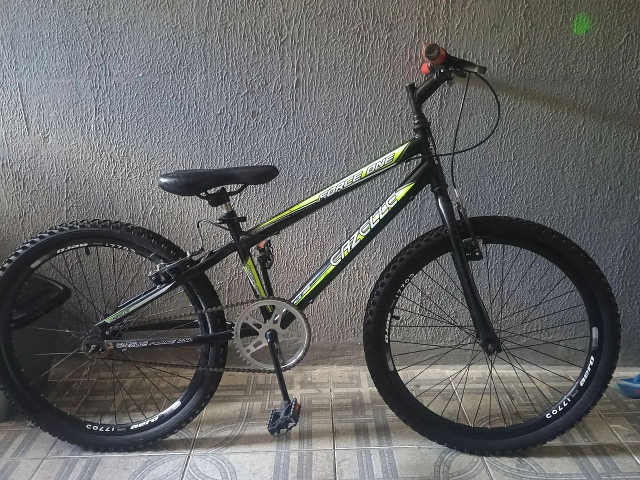 Bicleta