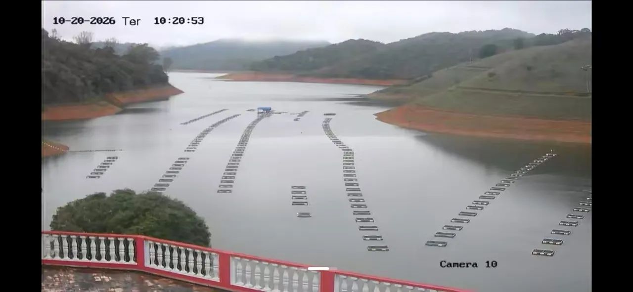 Serviços área rural - Foto 3