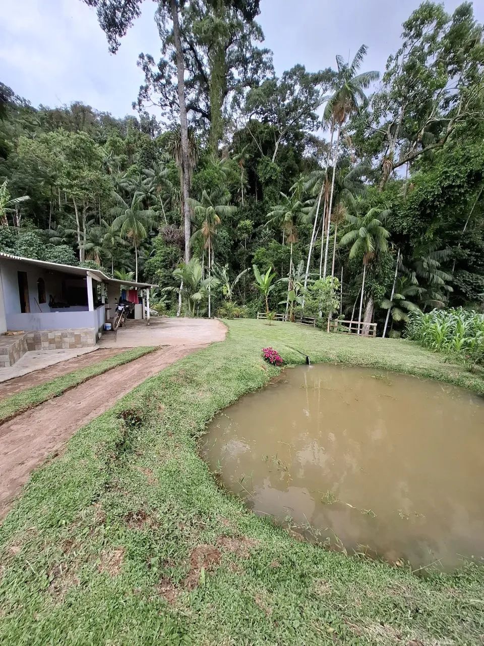 Sitio com mata e riacho - Foto 4
