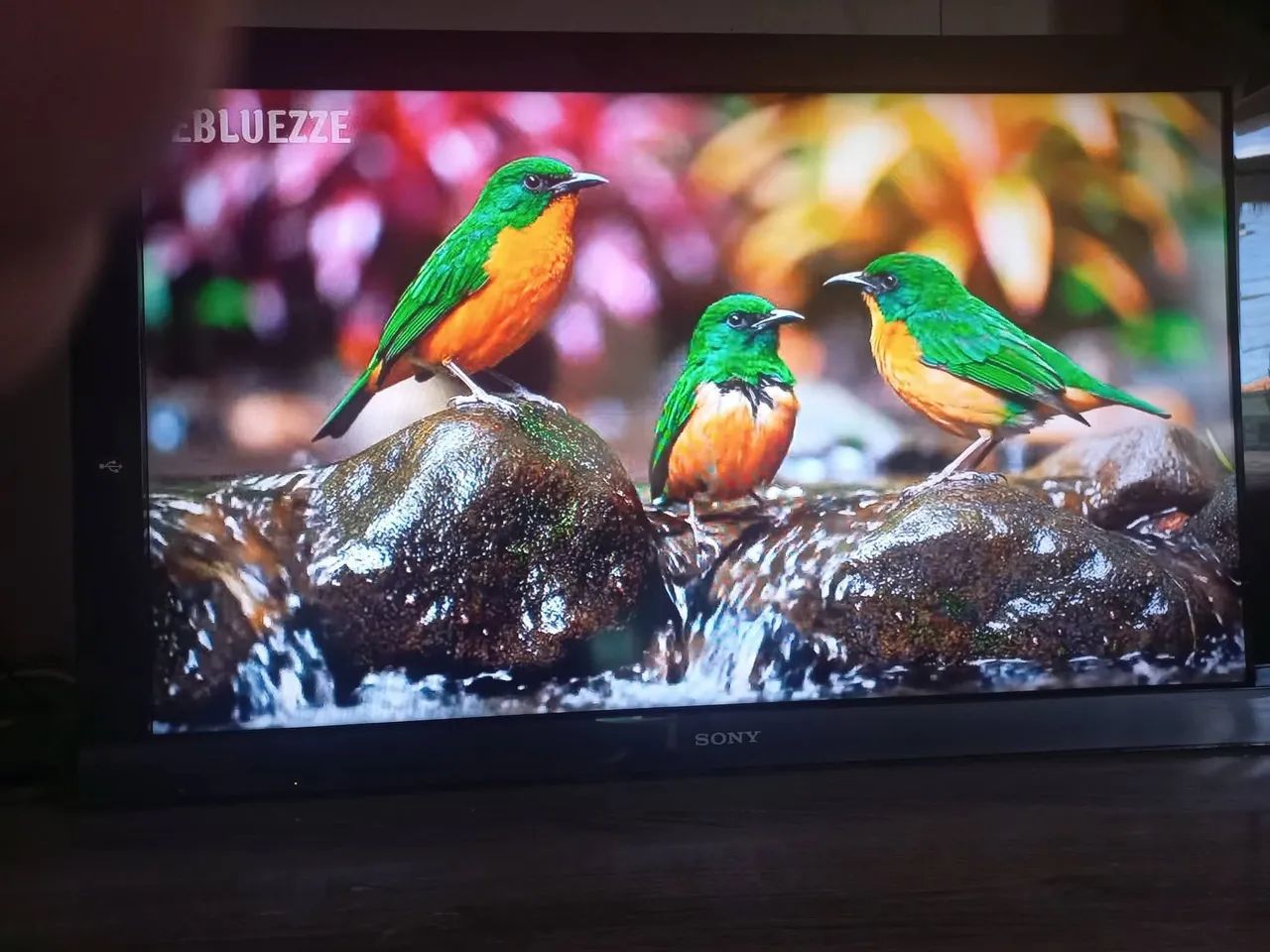 4 itens a venda, 3 cxs e 1 tv - Foto 4