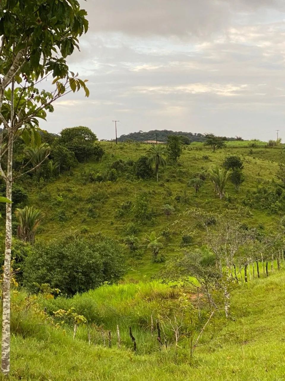 Sitio com 22 tarefas