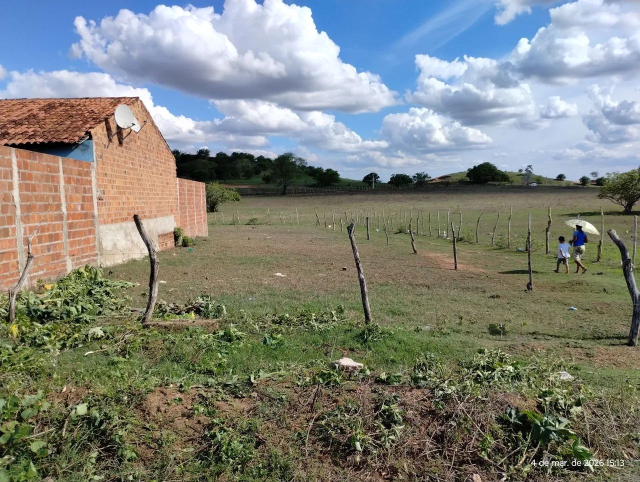 Foto - Arapiraca - Área Rural de Arapiraca