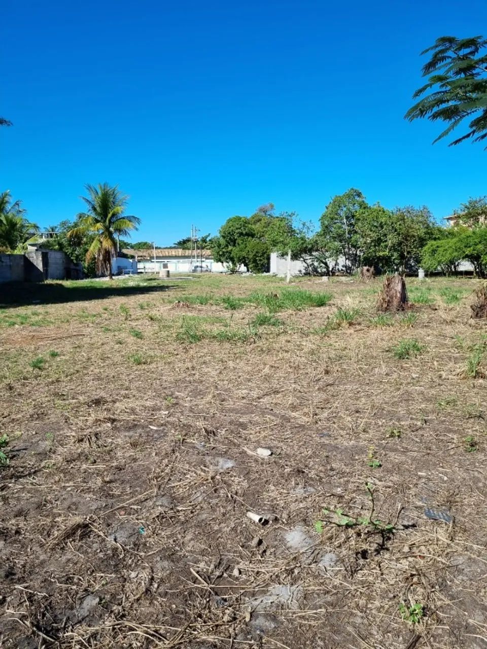 terreno plano de 3.000m2 - Foto 4