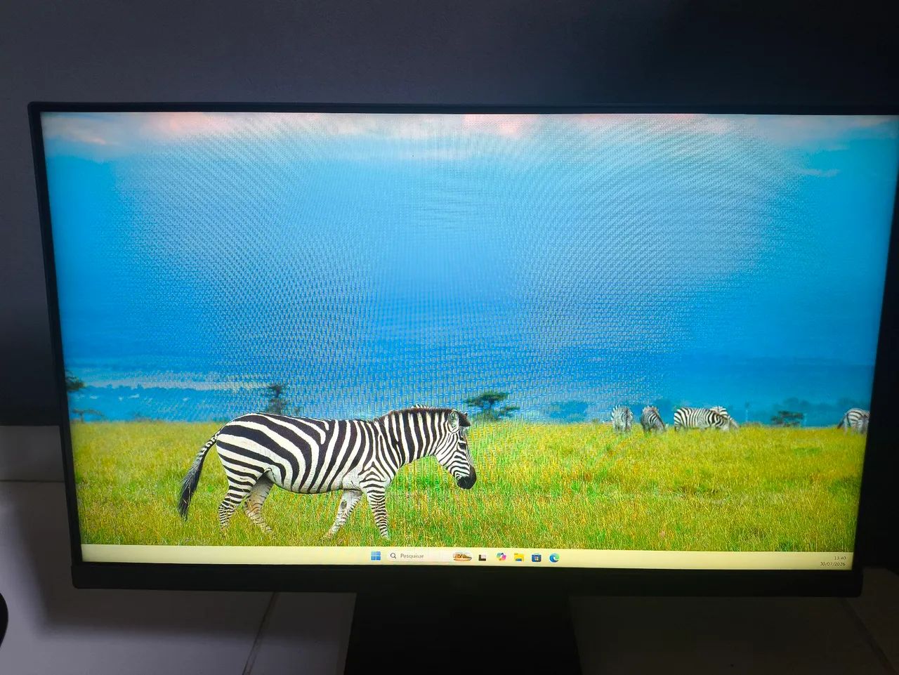 Monitor gamer