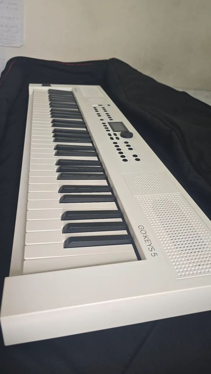 Roland Gokeys 5