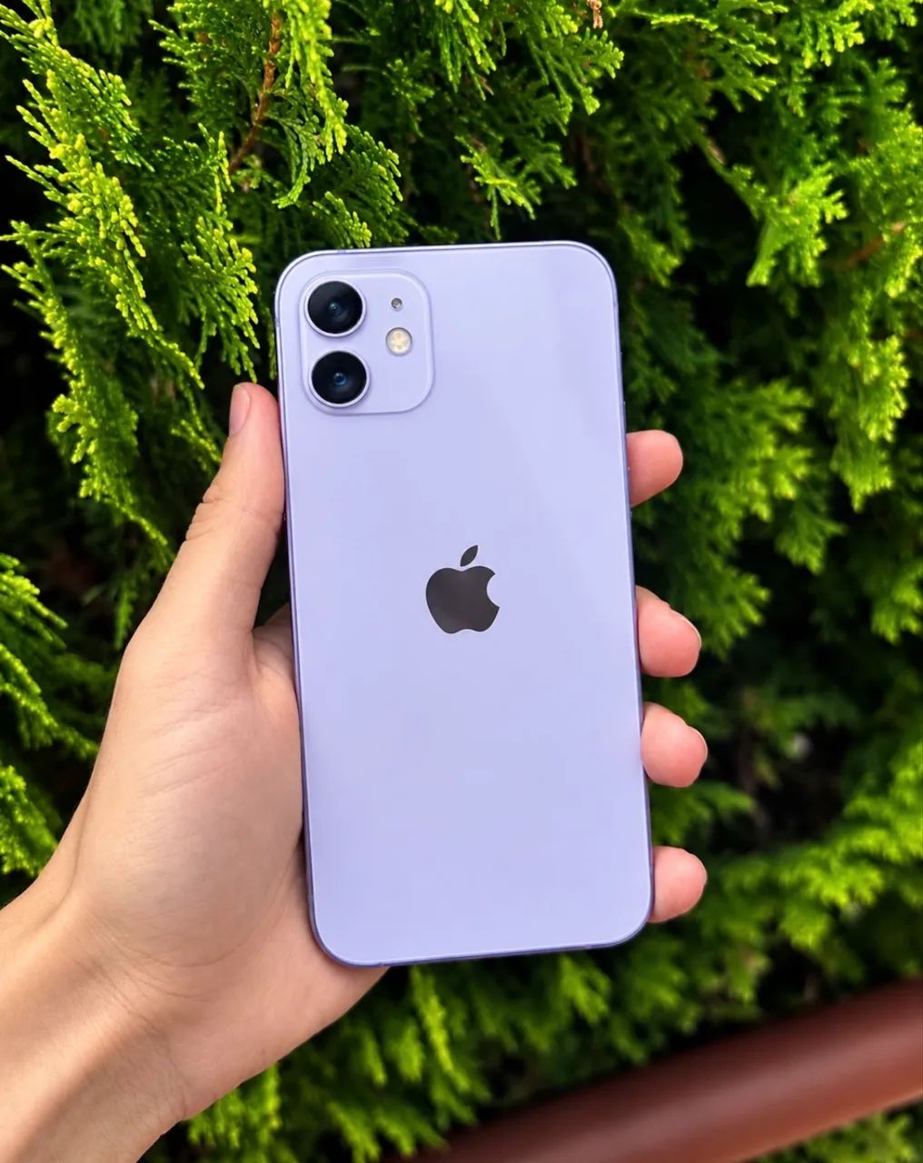 iPhone 12 64GB ROXO?