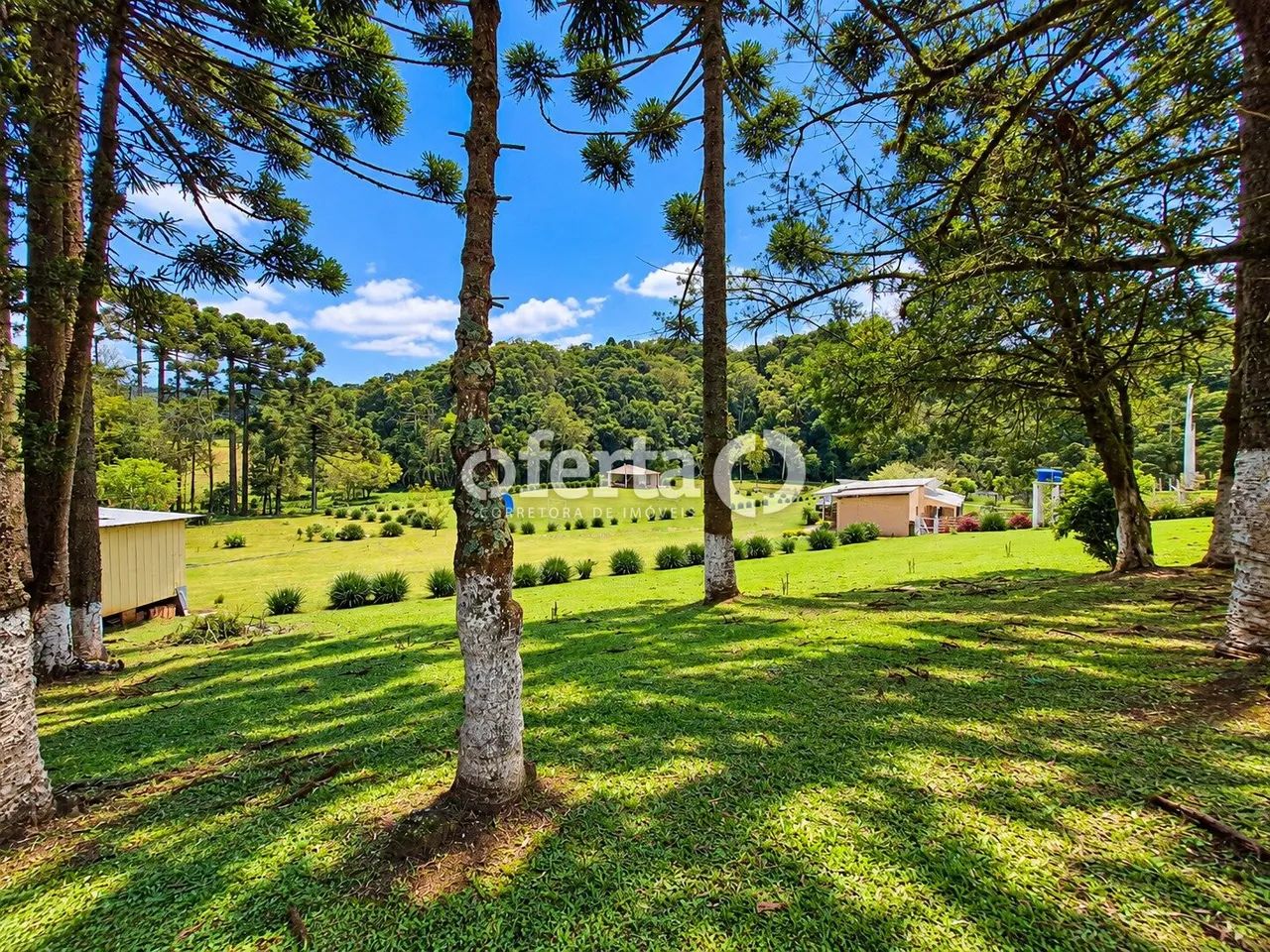 Chácara com casa em Araucária - Foto 4