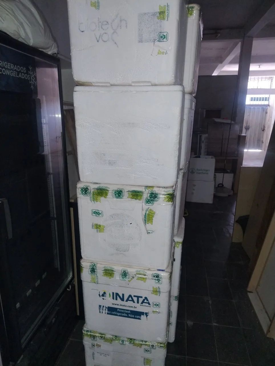 caixa isopor