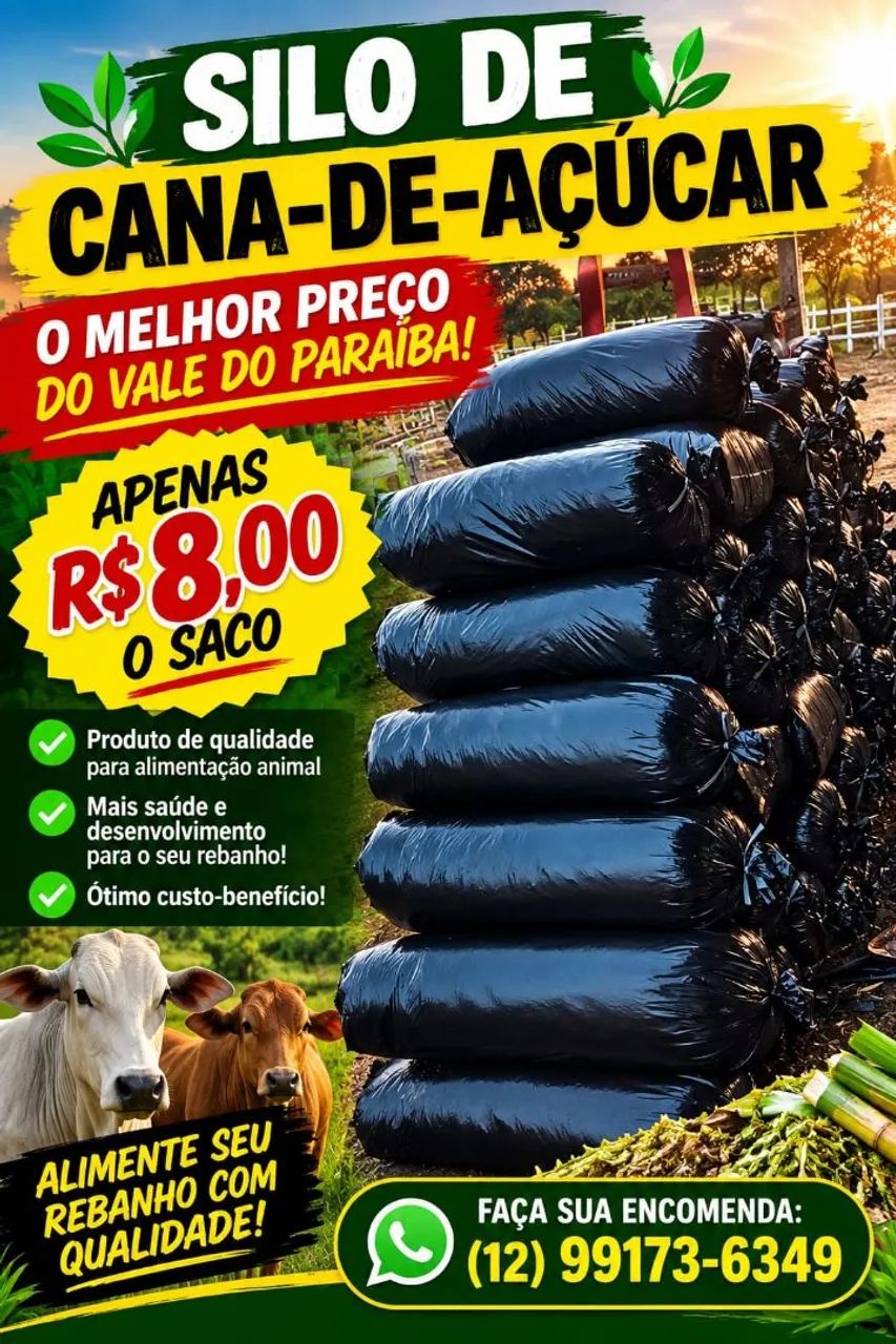 SILO DE CANA DE AÇÚCAR 