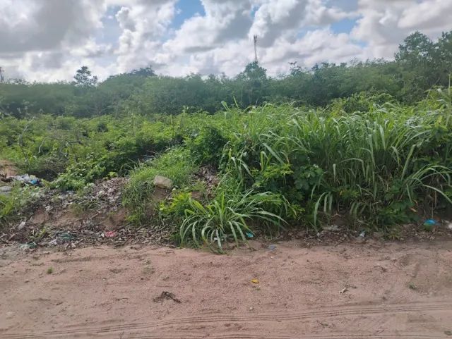 LOTEAMENTO CHACARAS DE EXTREMOZ - 800m² - QUADRA 06 - Foto 4