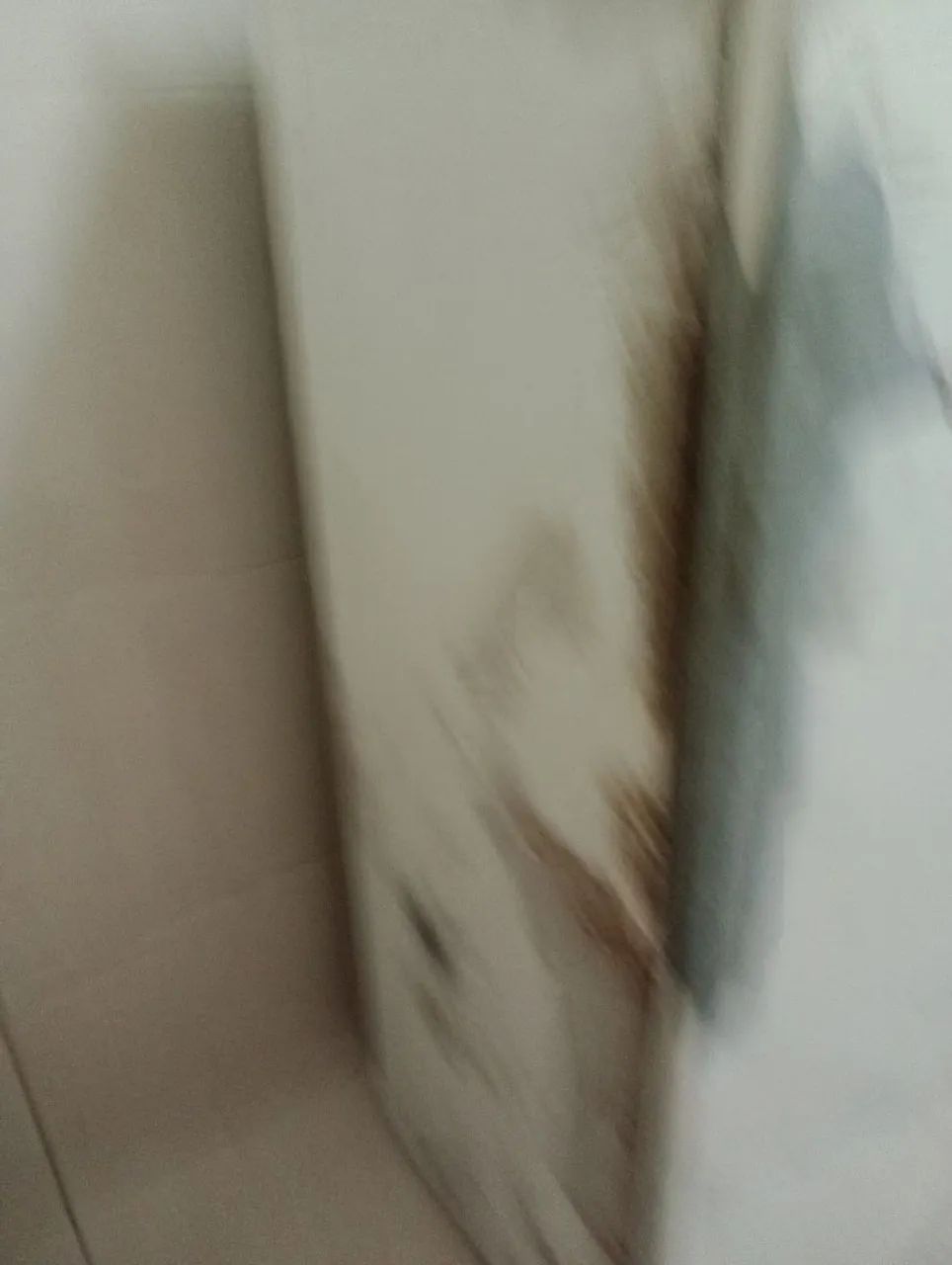 Geladeira  - Foto 4