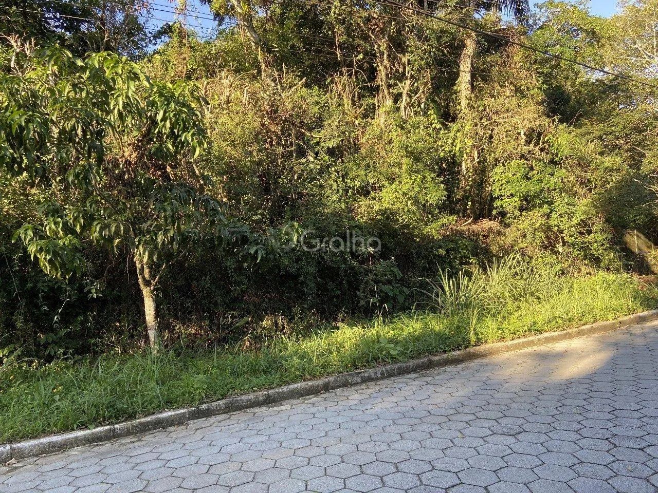 Terreno de 33.000 m² no Pantanal