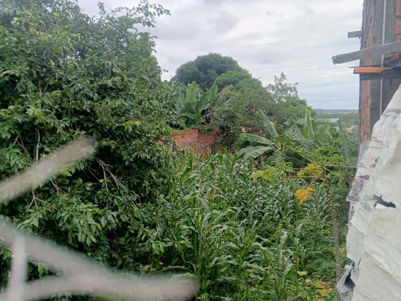Terreno com escritura no Lamarão  - Foto 2