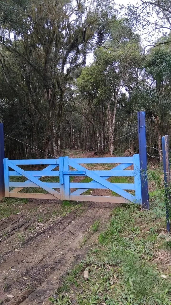 Chácara  dos sonhos em Contenda Pr - Foto 2