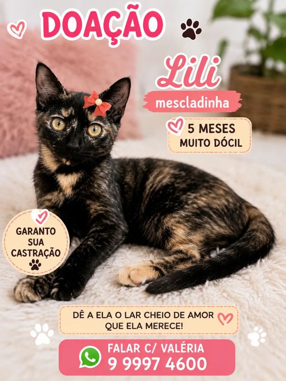 LILI MESCLADINHA