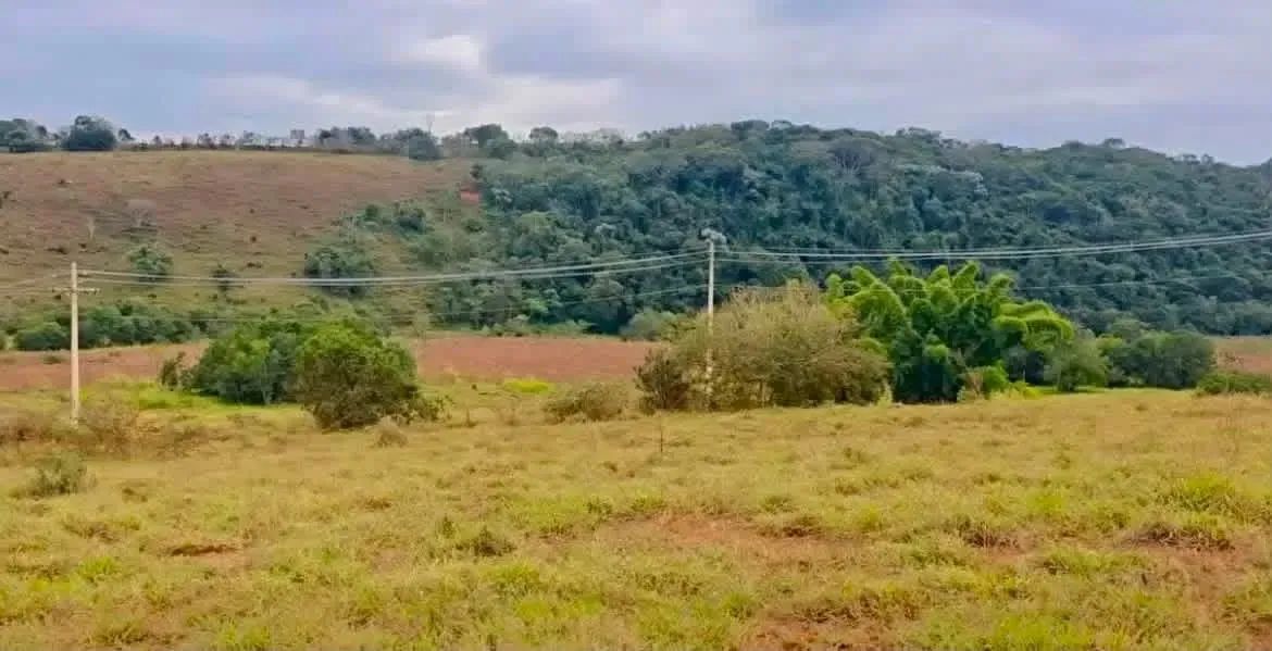 Oportunidade em Silvianopolis - Foto 4