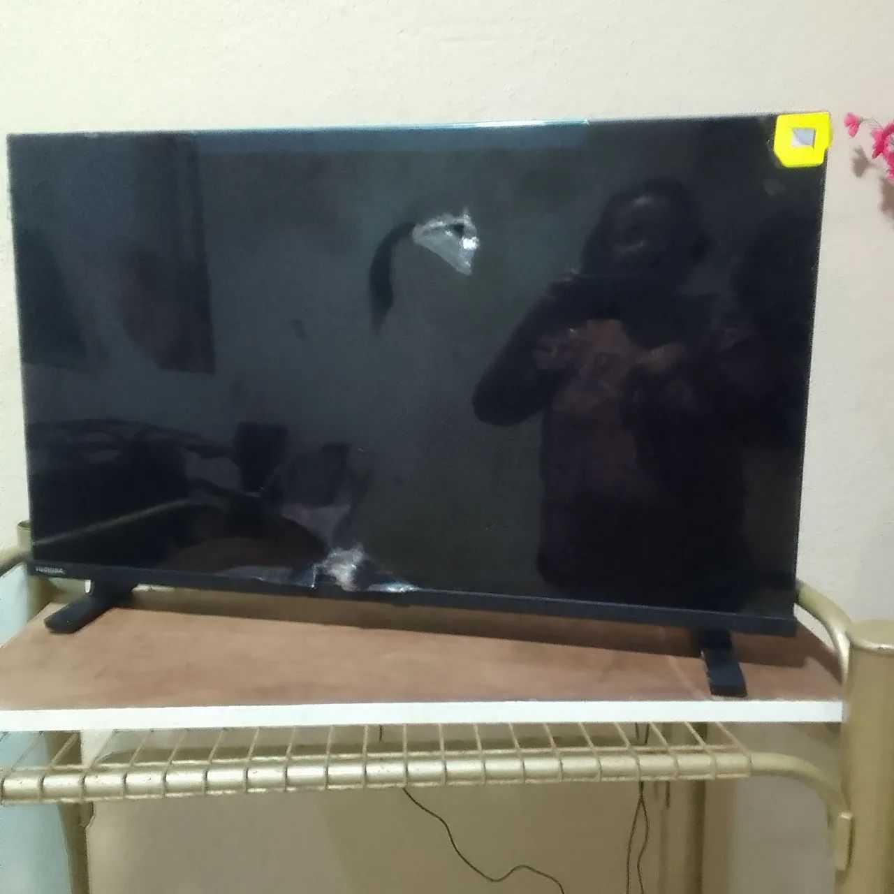 Vendo uma TV ou troco 
