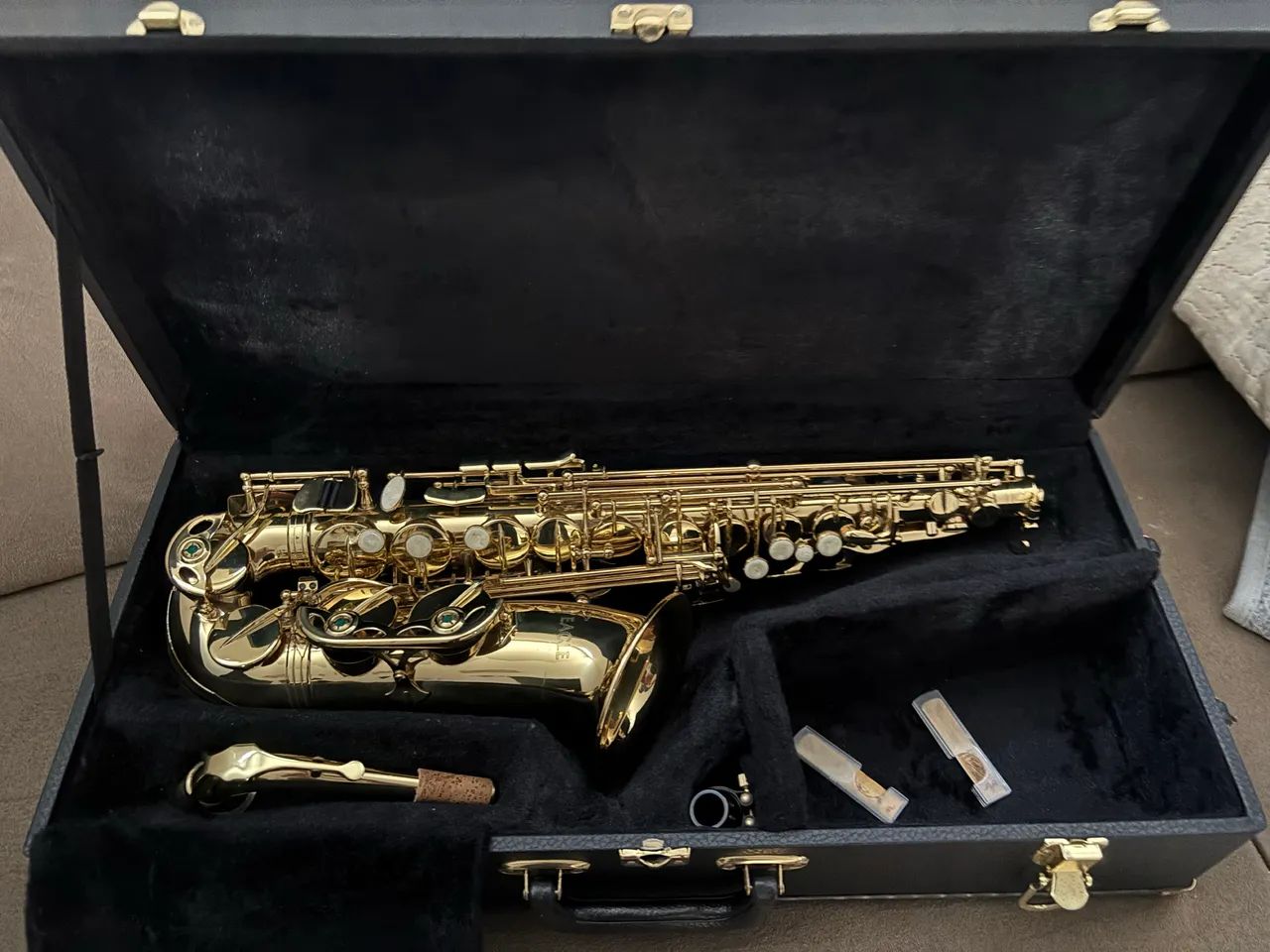 Sax alto eagle  - Foto 2