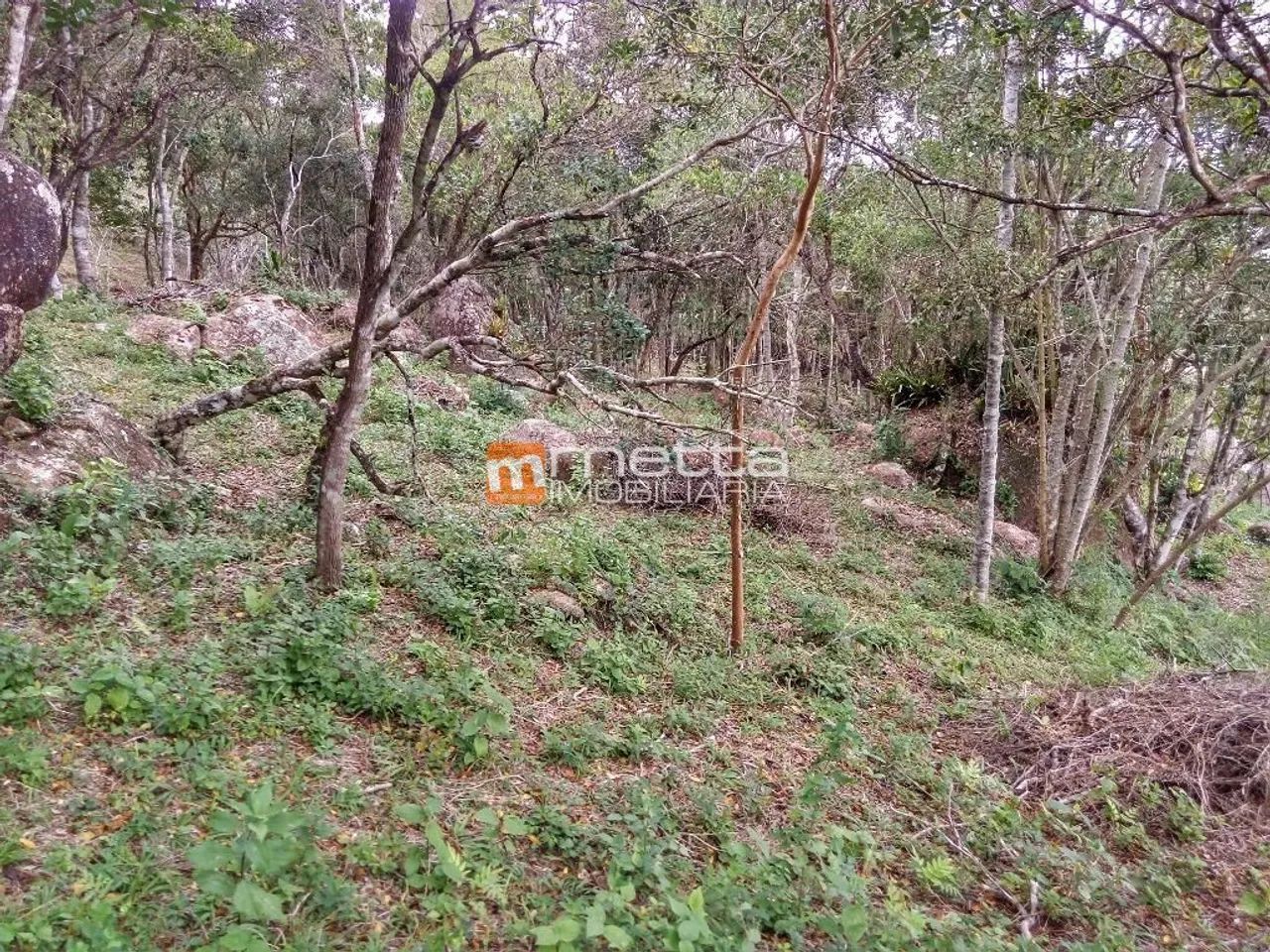 Terreno à venda, 2972 m² em Sambaqui - Florianópolis/SC - Foto 3