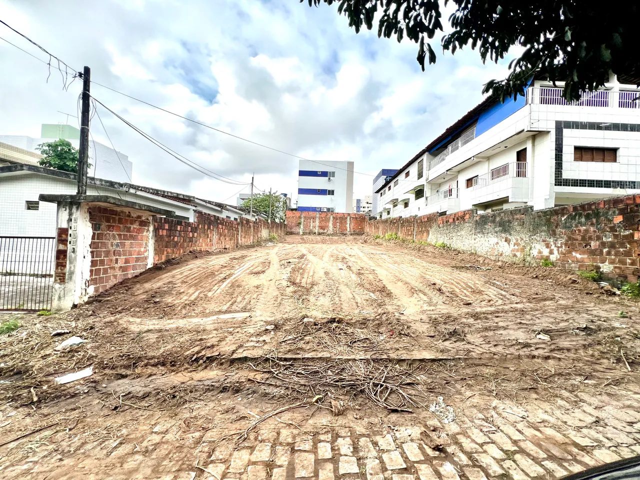 Terreno - Castelo Branco 