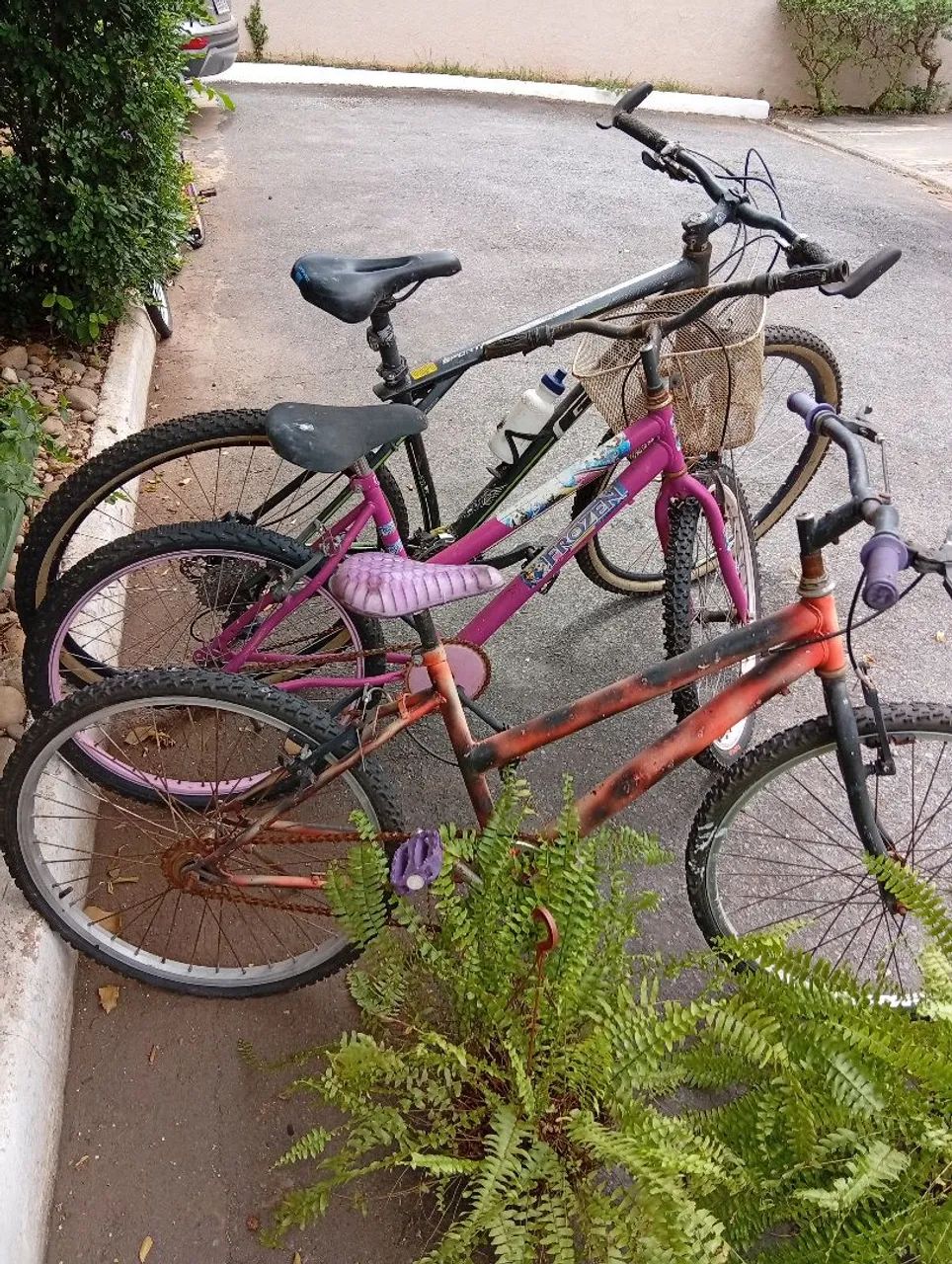 Bicicletas 