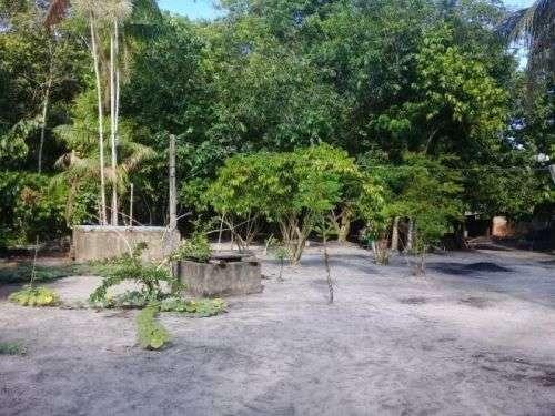 Barbada!!! Vendemos com exclusividade um Sítio/Terreno com 10,6 hectares - Foto 6