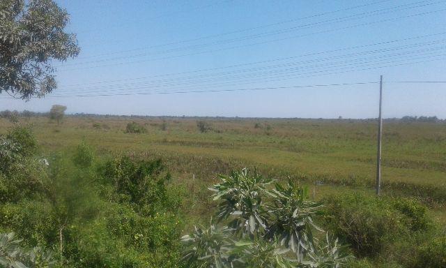 Fazenda na estrada parque de corumba ms - Foto 12