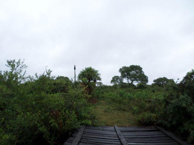 Fazenda na estrada parque de corumba ms - Foto 13