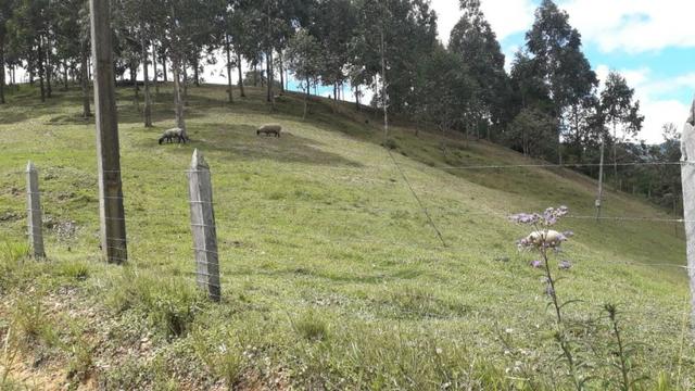 Perto de tudo - Foto 13