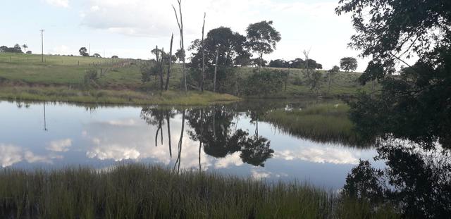 Chácara à venda de 1 alqueires e meio no município de Firminópolis - Foto 18