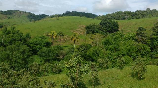 Excelente Fazendinha para criação - Foto 6