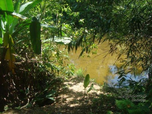 Terreno à venda, 399 m² por r$ 93.000,00 - nucleo do rio pinto - morretes/pr - Foto 16
