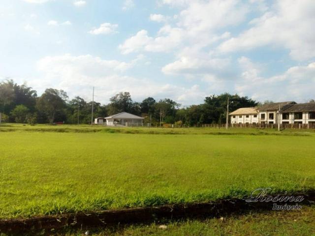 Terreno à venda, 399 m² por r$ 93.000,00 - nucleo do rio pinto - morretes/pr - Foto 2