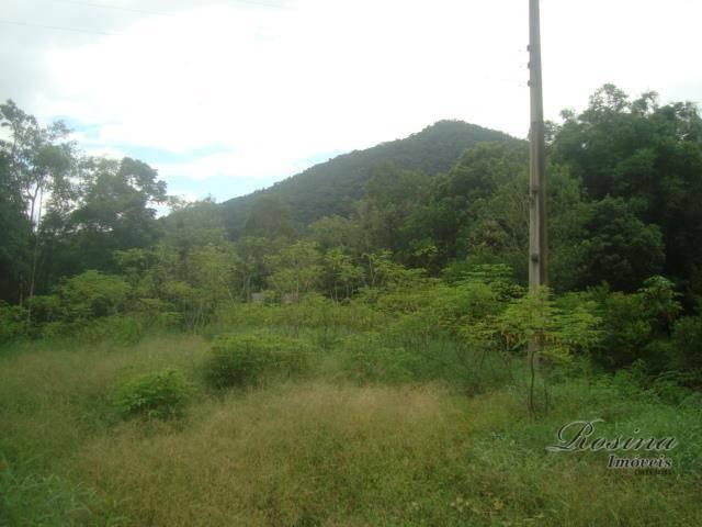 Linda chácara medindo 12.100,00 m² localizada no rio sagrado em morretes - Foto 15