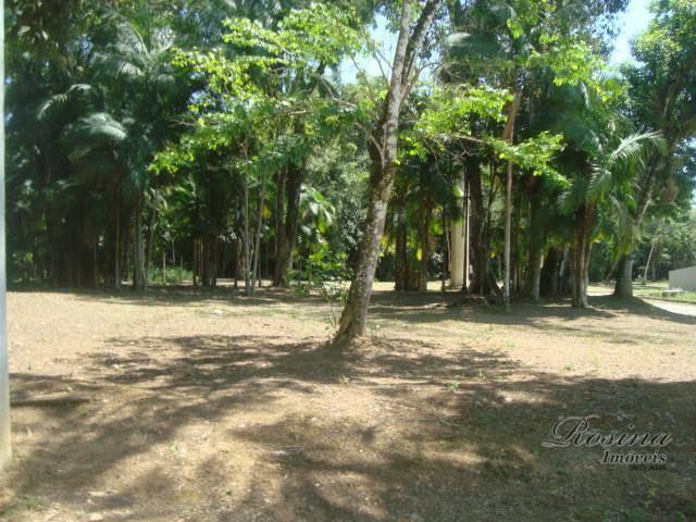 Òtimos terrenos para investimento em morretes - Foto 9