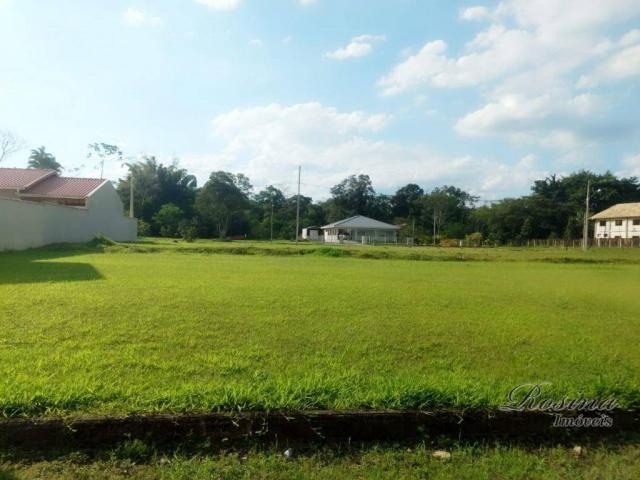 Terreno à venda, 399 m² por r$ 93.000,00 - nucleo do rio pinto - morretes/pr