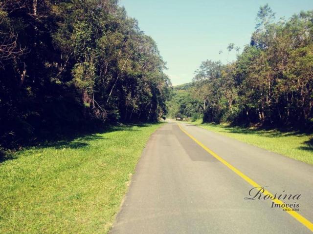 Terreno com 36.300 m² com registro de imóveis de frente para o asfalto - Foto 4